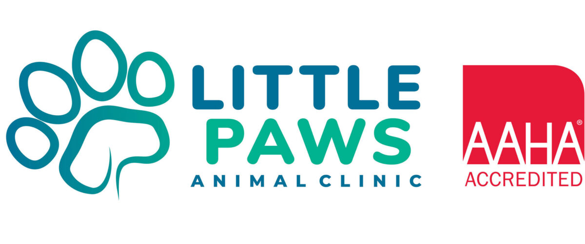 Little Paws Animal Clinic – Richmond Animal Clinic